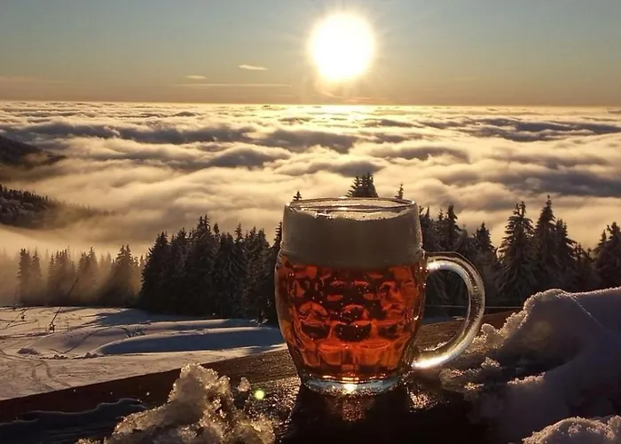Horsky Stumpovka 3*